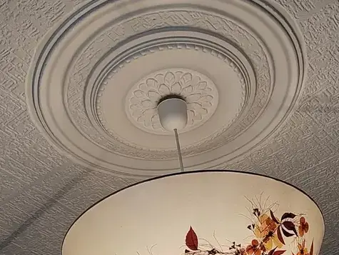 rosace plafond à Chantonnay - image 3