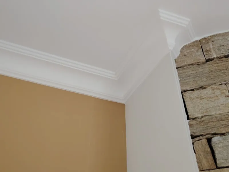 rosace plafond chantonnay